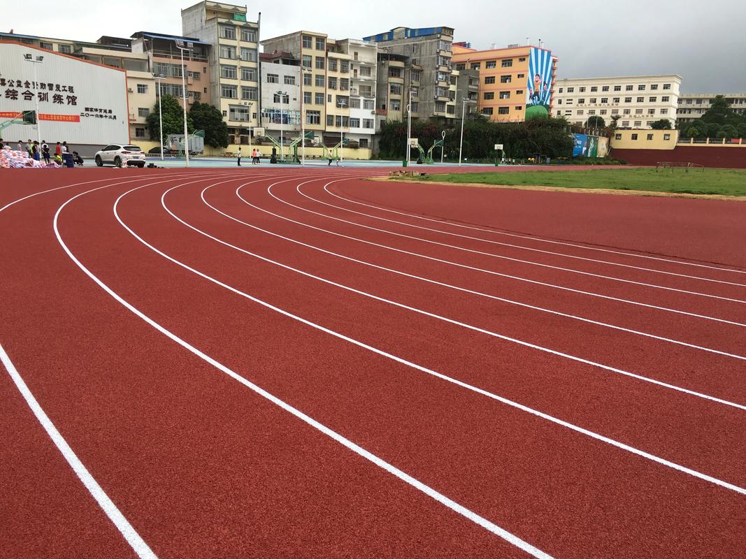 东莞市人造草坪塑胶跑道材料 - 排名